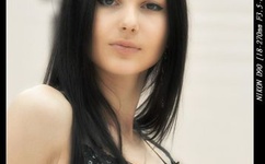 美国人物动物交互